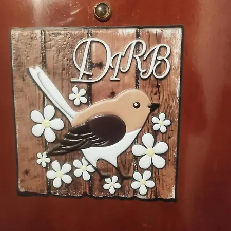 Daire Serenita Tra Gli Ulivi Arnasco