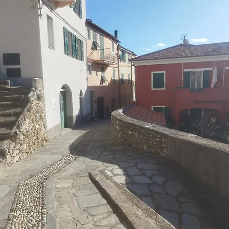 Serenita Tra Gli Ulivi