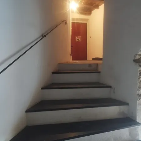 Serenita Tra Gli Ulivi *