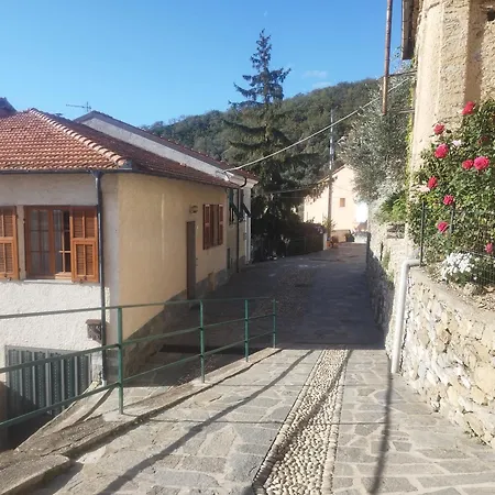 Serenita Tra Gli Ulivi Appartement