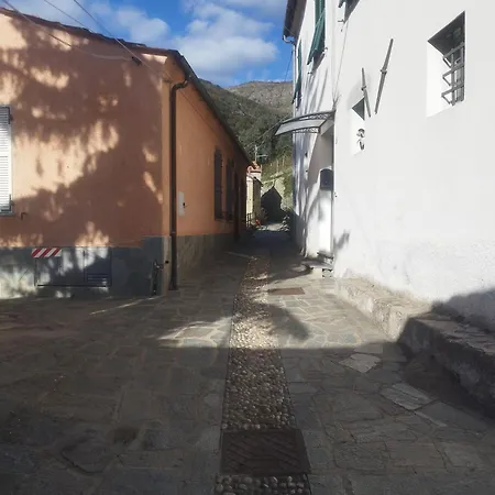 Serenita Tra Gli Ulivi 아파트 *