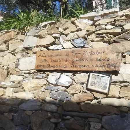 아파트 Serenita Tra Gli Ulivi *