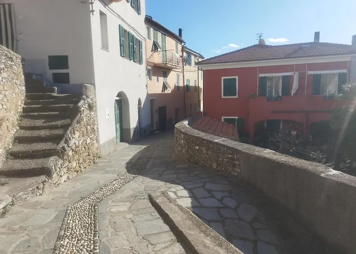 Serenita Tra Gli Ulivi