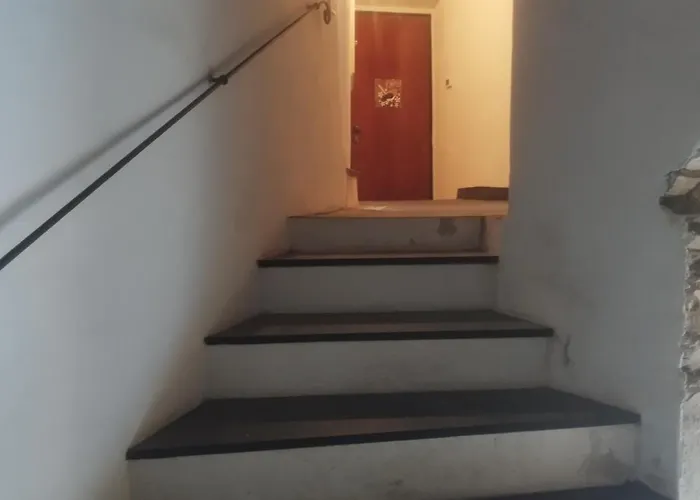 Serenita Tra Gli Ulivi *
